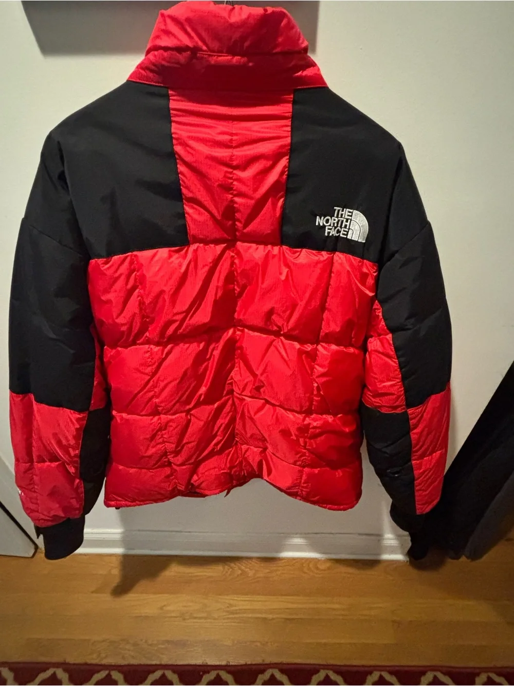 The North Face Red and Black Puffer Jacket. Mint 1996 Gore Dryloft, with hood